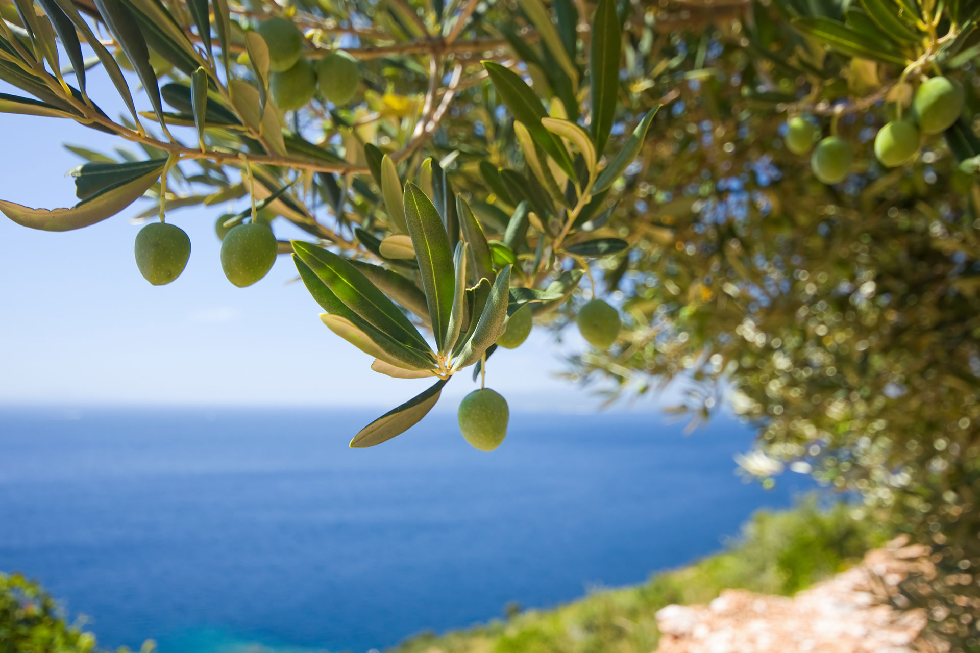 Kamilari Kalamaki Holidays